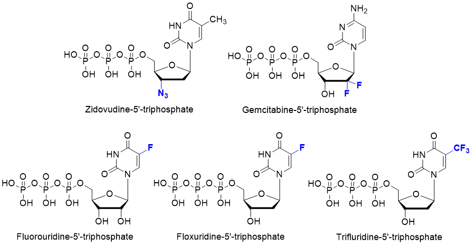 Commonly known pyrimidine nucleotide analogues with antibiotic activity.