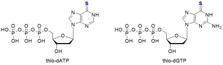 Structures of thio-dATP and thio-dGTP.