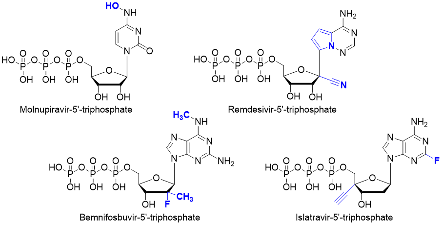 Structures of Molnupiravir, Remdesivir, Bemnifosbuvir and Islatravir triphosphates.