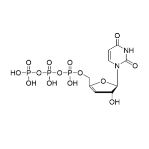 3′,4′-Didehydro-3′-deoxyuridine triphosphate – CAS 2499590-38-2