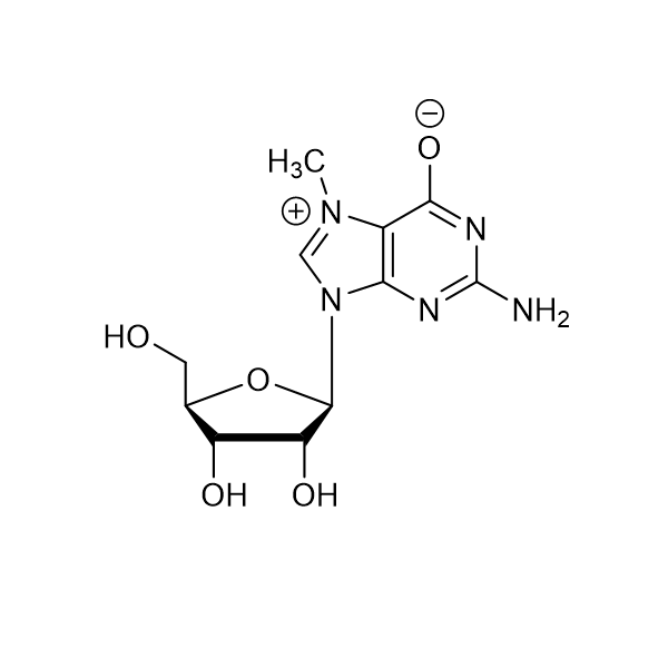 7-Methylguanosine - CAS 20244-86-4