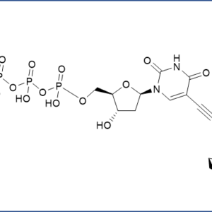 5-(Ferrocene-1-yl-ethynyl)-2'-deoxyuridinetriphosphate - CAS 1007229-84-6