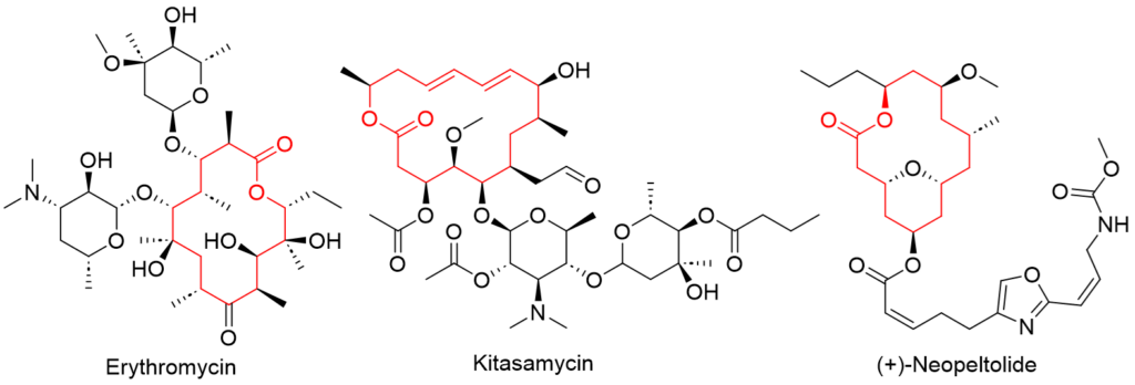 Figure 4: Three examples of the macrolides. Macrolactone ring is highlighted in red in the structures.