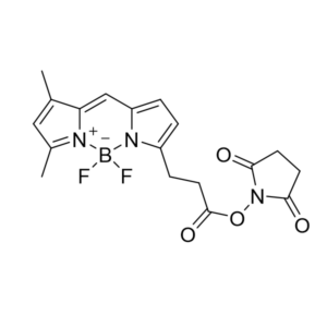 BDP FL NHS ester - CAS 146616-66-2