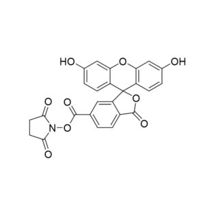 FAM NHS ester, 6-isomer - CAS 92557-81-8